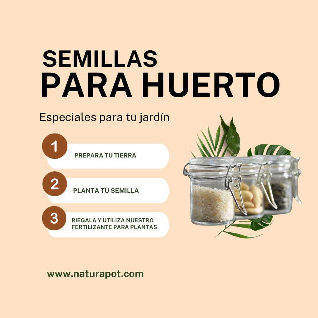 Semillas Ejemplo
